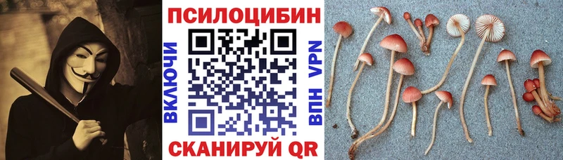 Галлюциногенные грибы Magic Shrooms хочу hydra вход Тарко-Сале